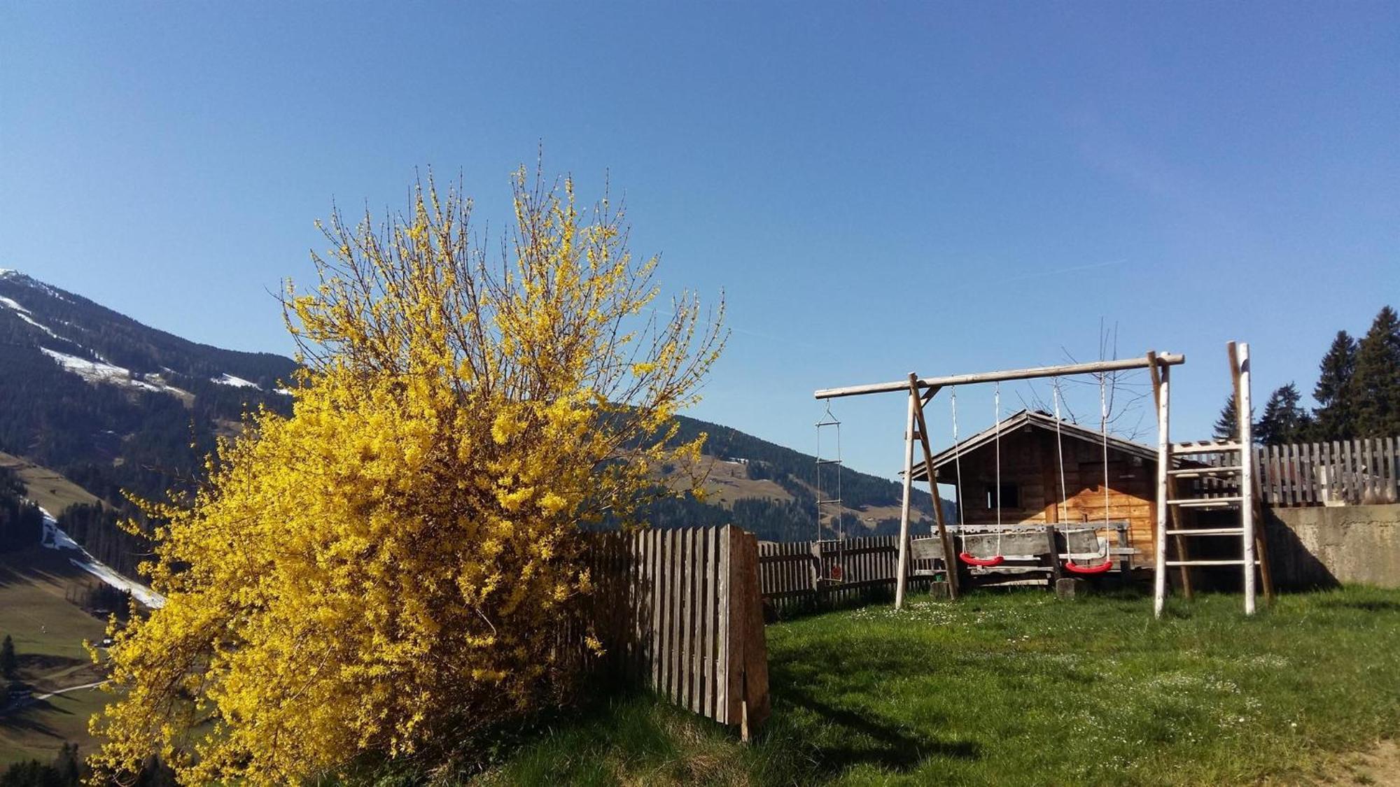 Aussermoos-Zuhaus Alpbach Zewnętrze zdjęcie
