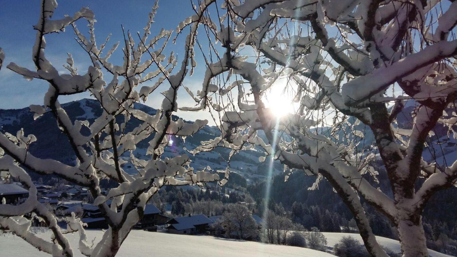 Aussermoos-Zuhaus Alpbach Zewnętrze zdjęcie